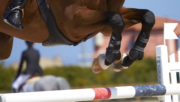 Compétition FFE Club CSO CCE Dressage