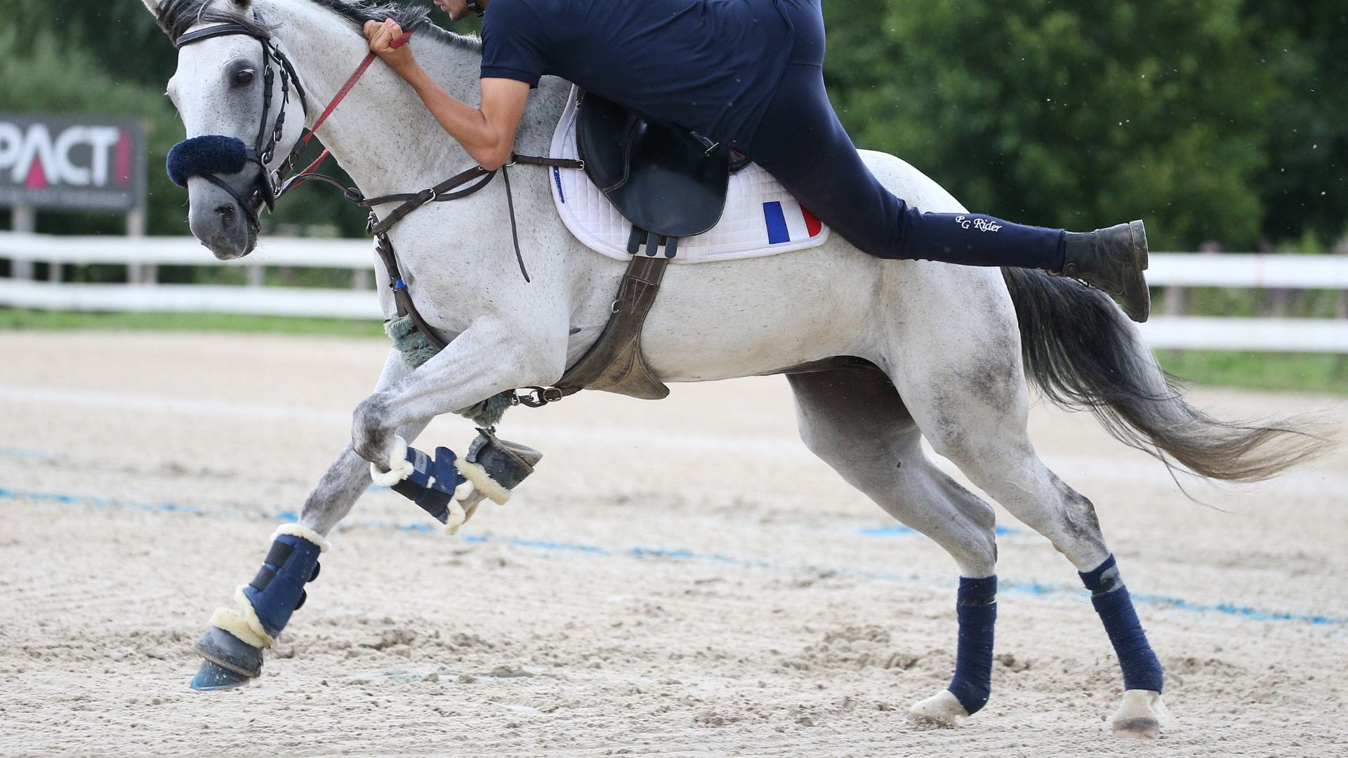 Calendrier des compétitions Mounted-Games