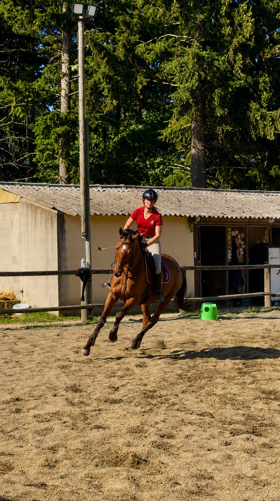 Camille P.